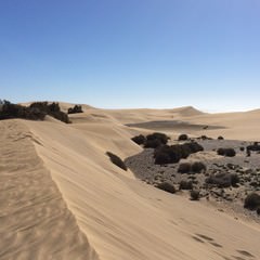 Dune di Maspalomas  - Gran Canaria