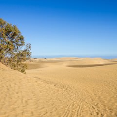 Gran Canaria dune di Maspalomas