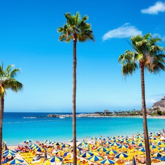 Gran Canaria playa de Amadores