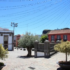 Vega San Mateo