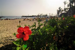 Spiaggia di Anfi del Mar